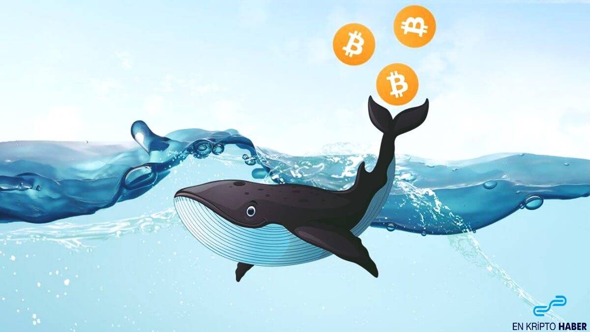 Bitcoin balinası 10.250 BTC taşıdı! Neden?
