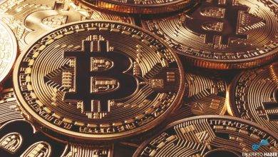 1.000'den fazla Bitcoin tutan cüzdan sayısı rekor kırdı
