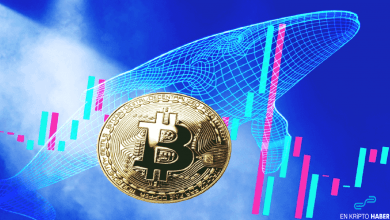 Kripto balinaları Bitcoin biriktirmeye devam ediyor