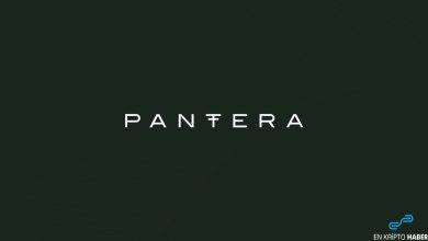 Pantera, kripto para fonunda 165 milyon dolar topladı